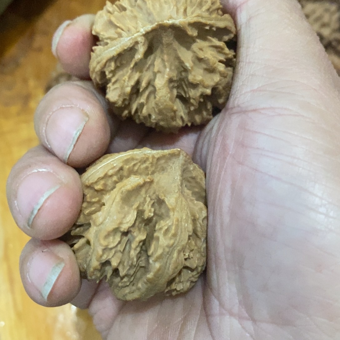 老*秦岭南侧和东北北部分别