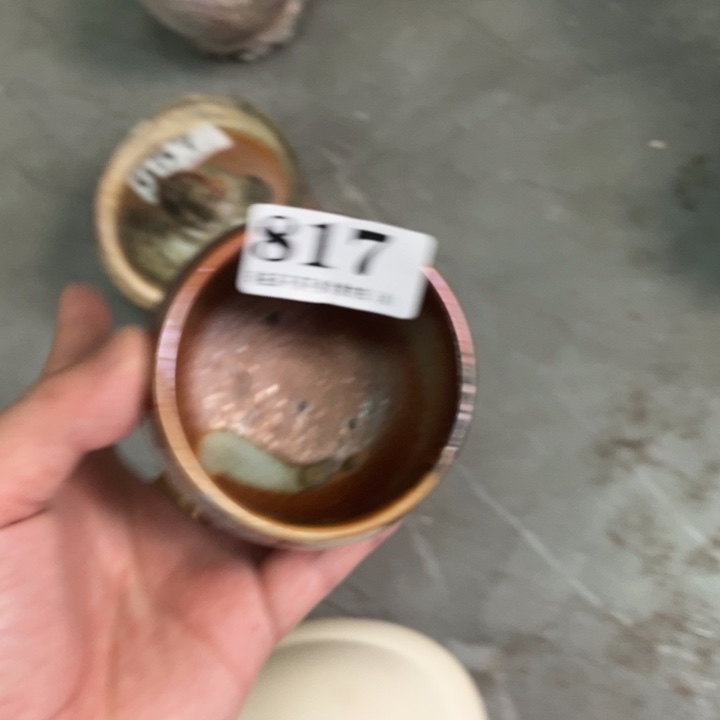 柴烧杯子宝瓶大放漏