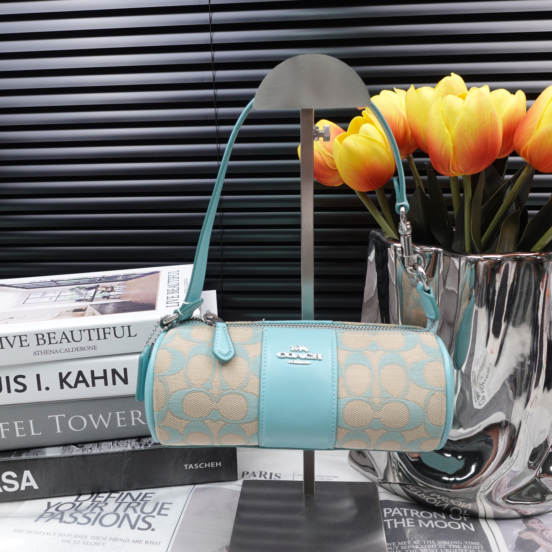 95新 COACH/蔻驰 单肩包/T10220842