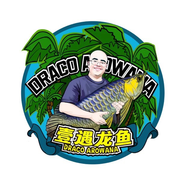 古典蓝底过背金龙F2珠鳞爆满