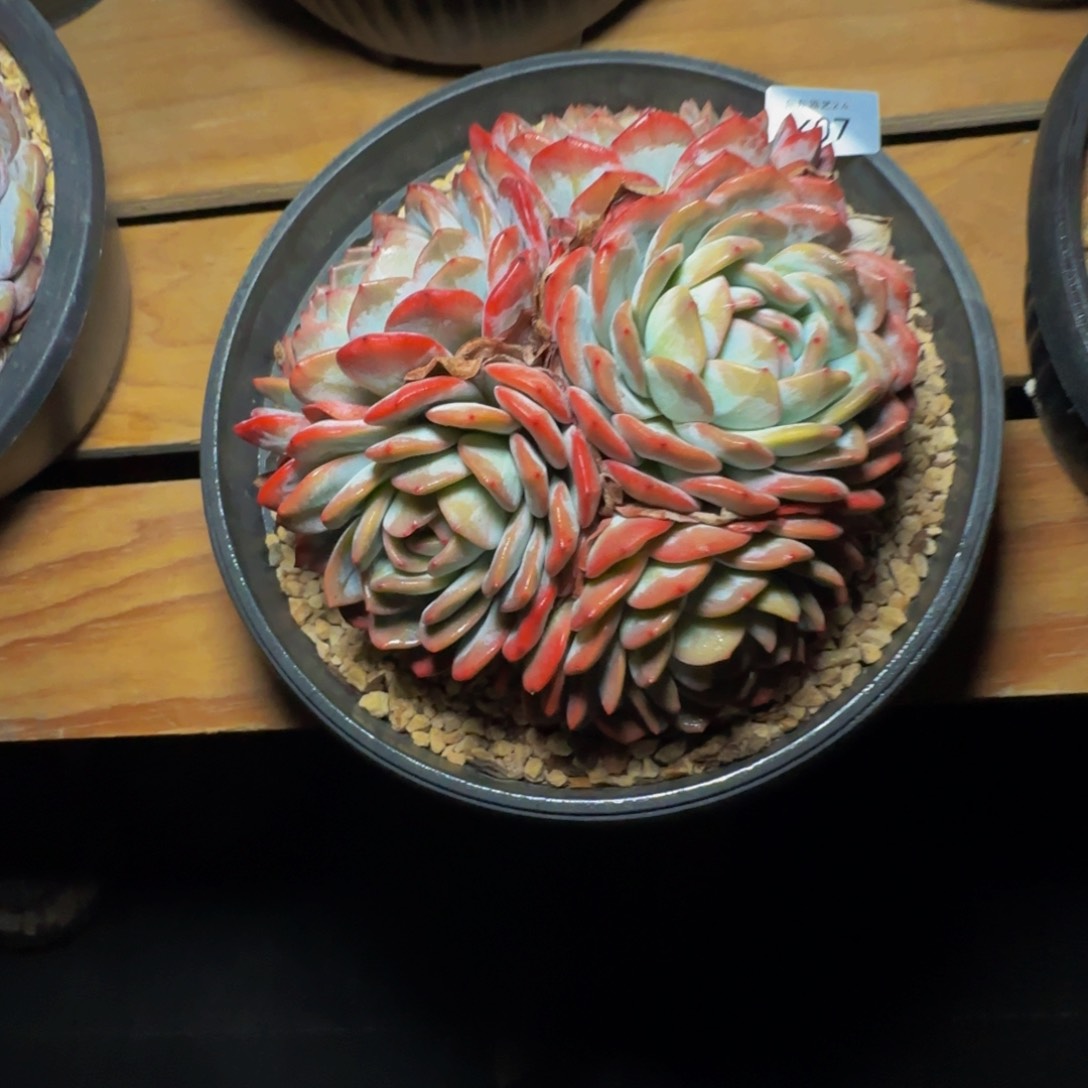 k k k k k k k k k k 7