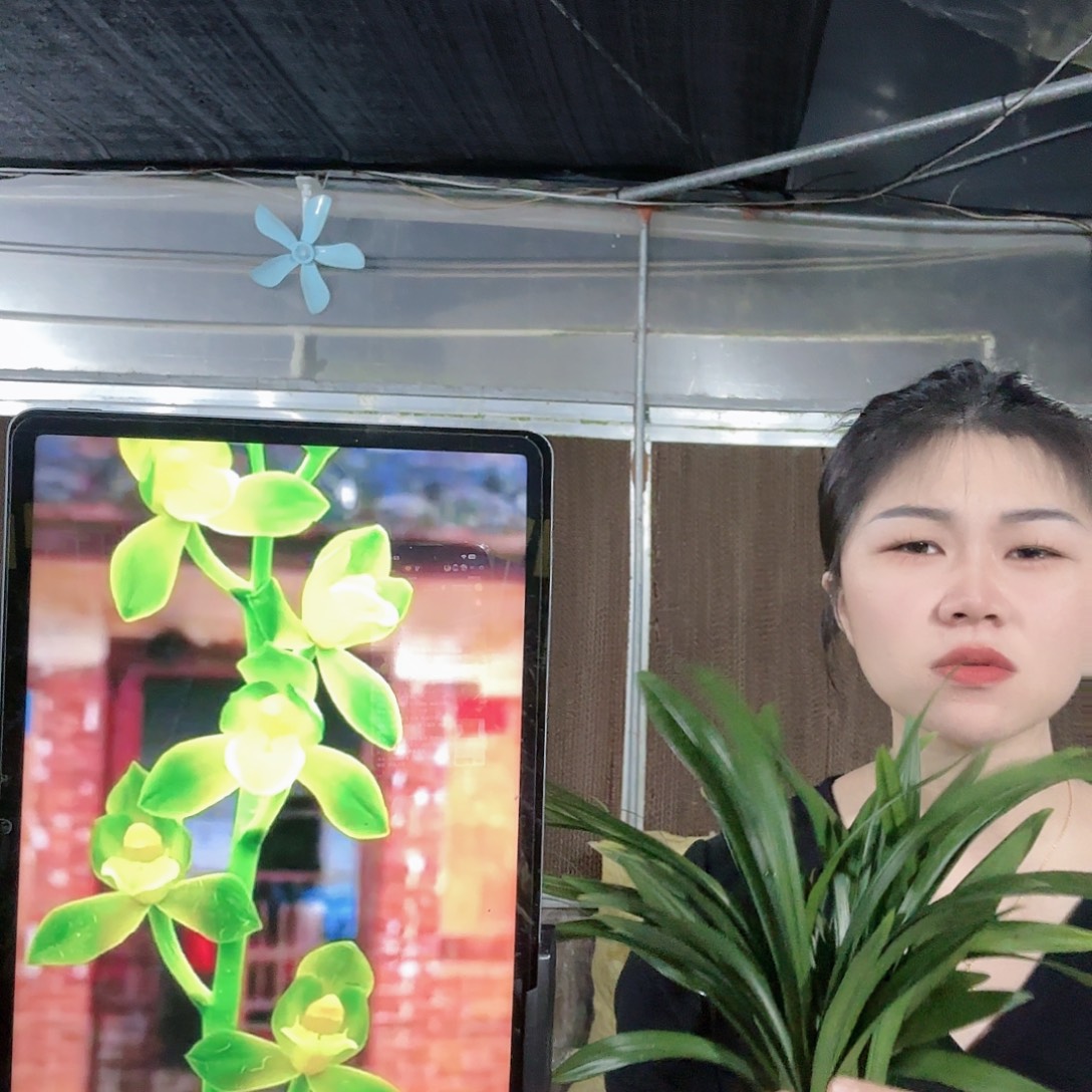 完全开放522333333