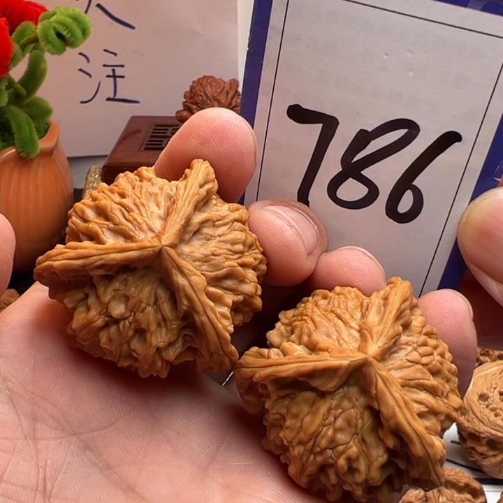 文玩核桃把件全品盘山三棱奔41尺寸786号