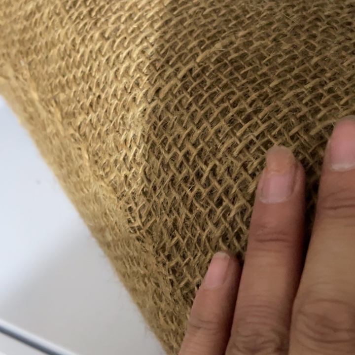 七月份的哥终于回来了