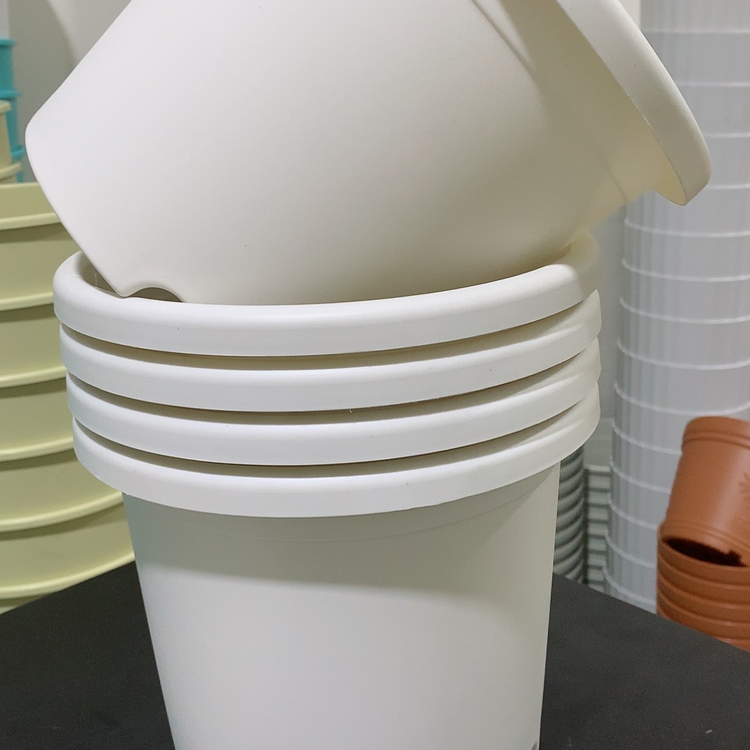 树脂四季老21白色5个无托