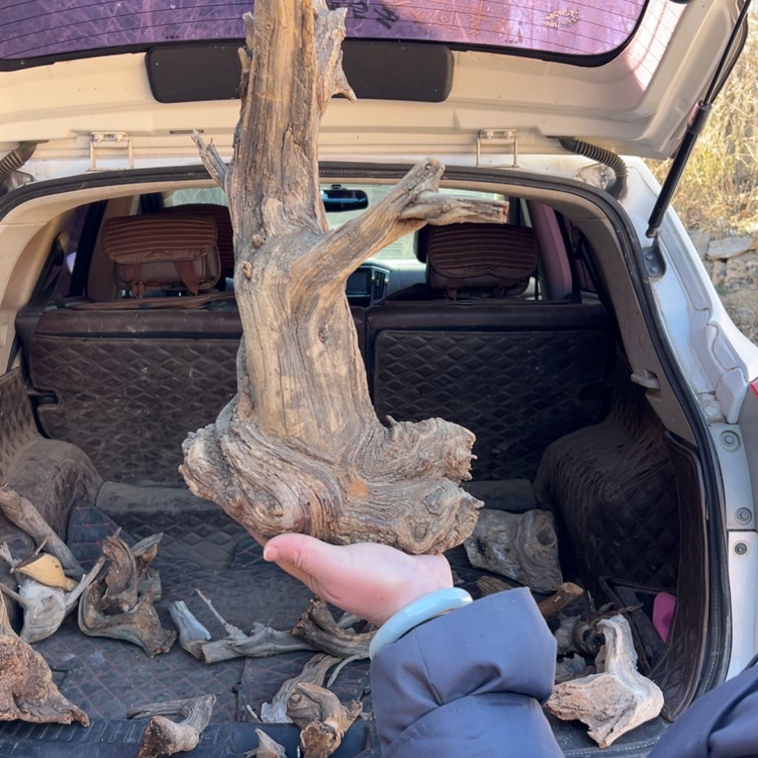 柏木（崖柏）大**愚