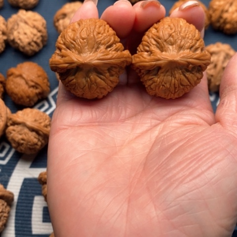 橄榄核手串/手链黑金刚36全品