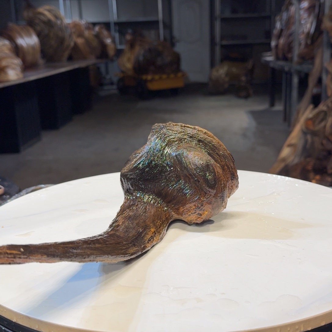 木鱼*飞王一刀琥珀木121