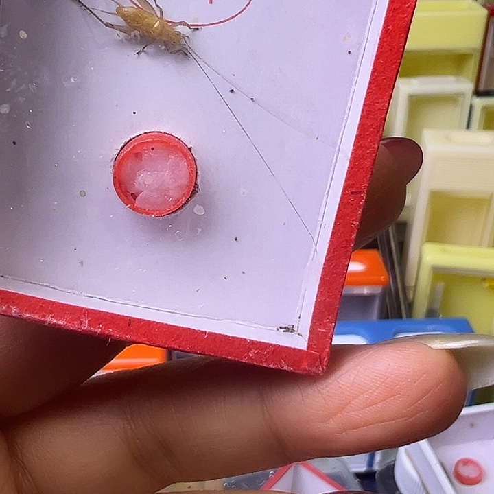 阿***保哈哈哈哈哈哈哈哈哈哈哈哈哈