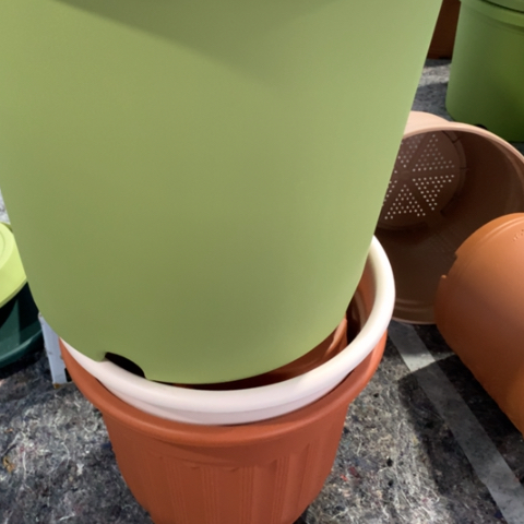 红陶7加果绿无托微瑕3个