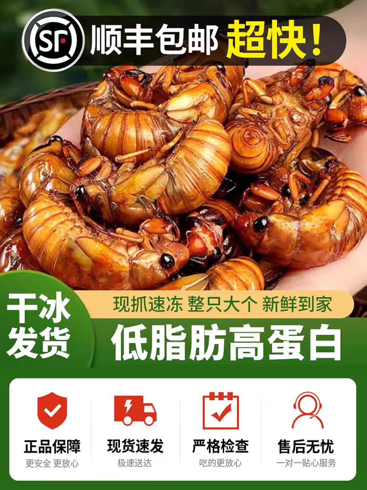 顺丰包邮特产速冻新鲜金蝉3-5g知了猴可烧烤油炸