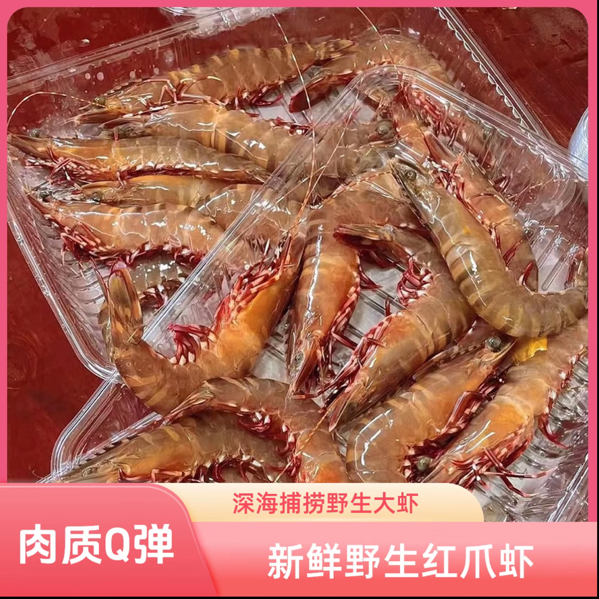 汕尾本港纯天然野生小丰虾红爪虾