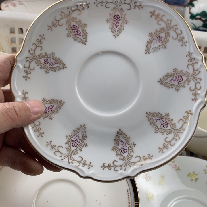 碟开播了开播了开播了