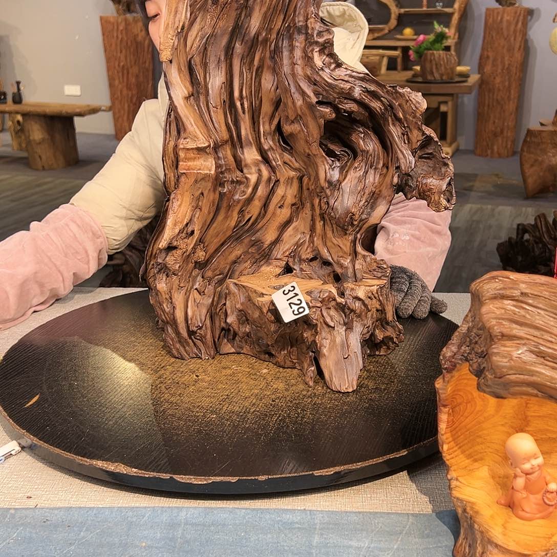 木T****•3129gggggggggggggg