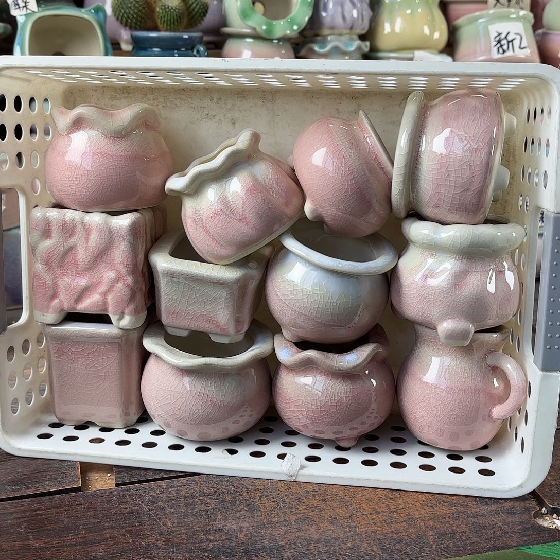 量货/4-5口高深浅搭配发12