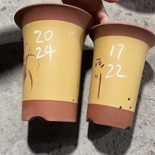 紫砂工艺厂……紫砂工艺厂……紫砂