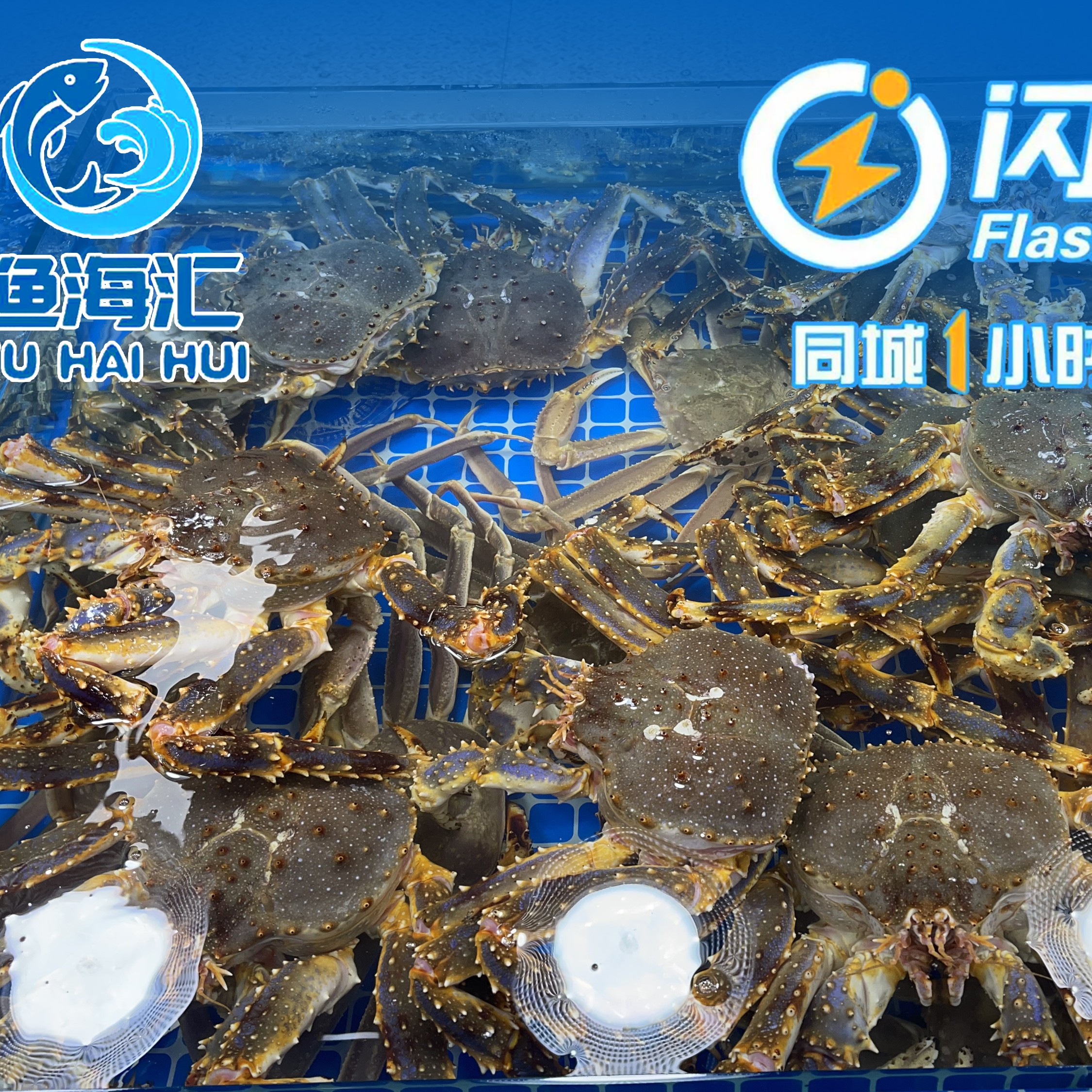 特价各种蟹，各种龙虾，各种鱼，各种虾，直播间现场询价，现场下单