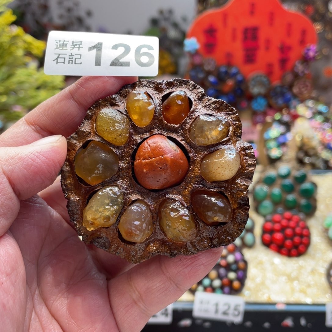 核桃木/黑胡桃（胡桃木）126