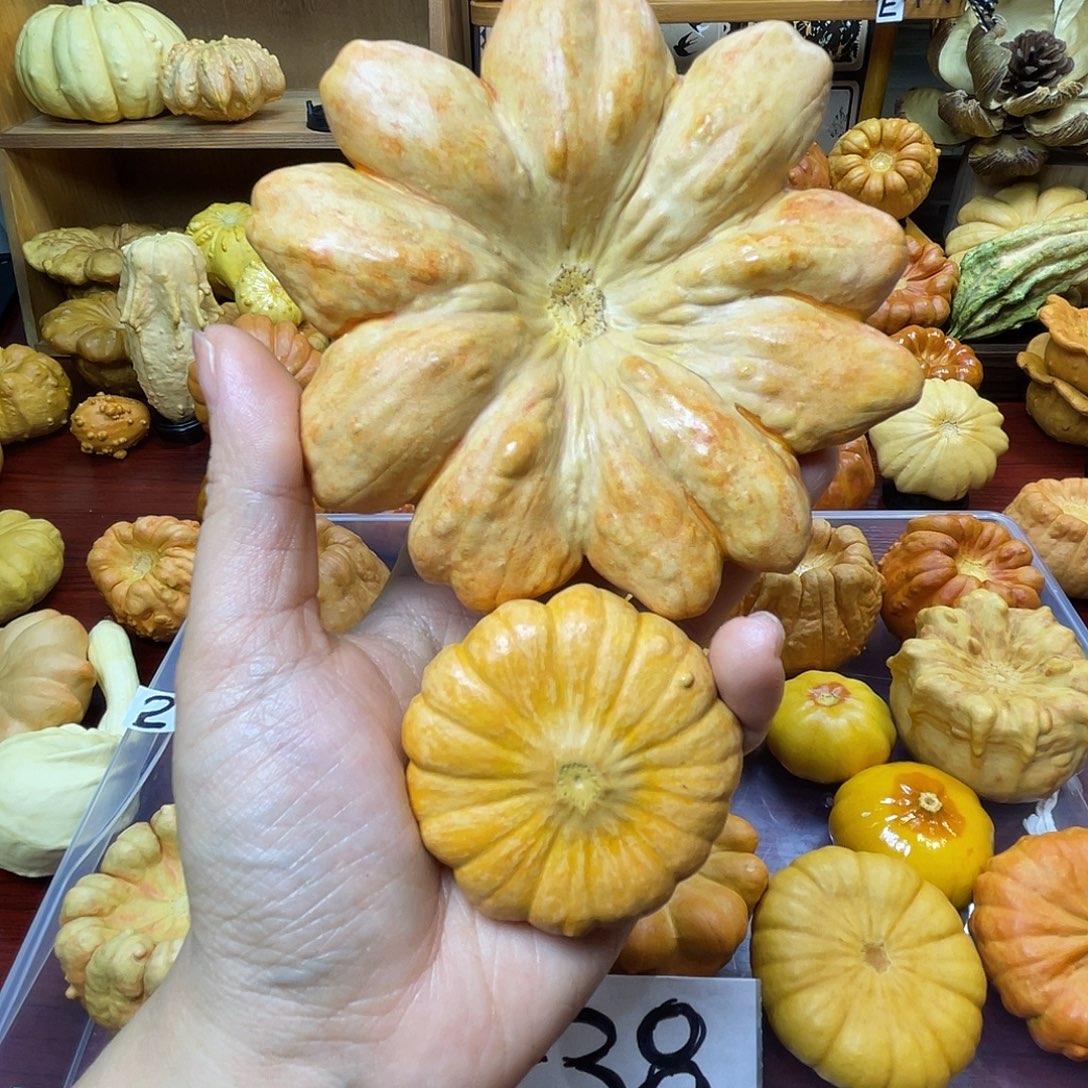 K***a葫芦花花罐 瑕疵不退换