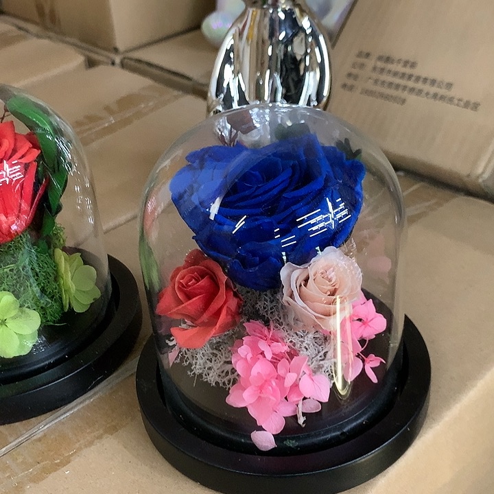 瓷片样品样品样品