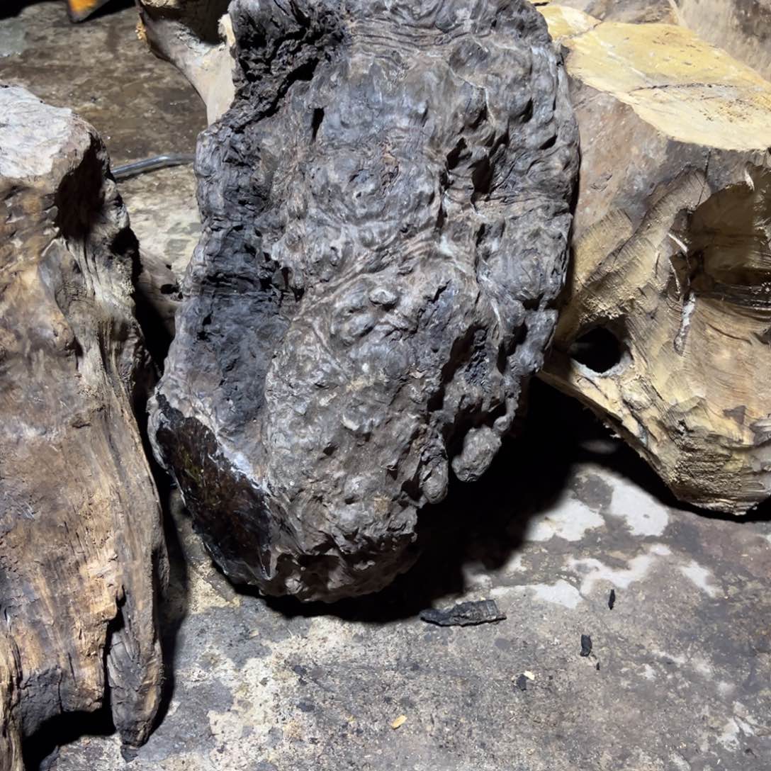 金丝楠8**322222222222