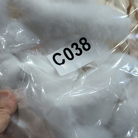 安***然038%8888888888888888