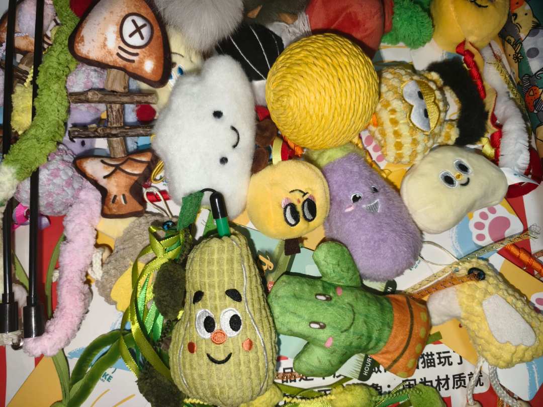 猫咪玩具组合套装（默认个别微瑕no退no换）