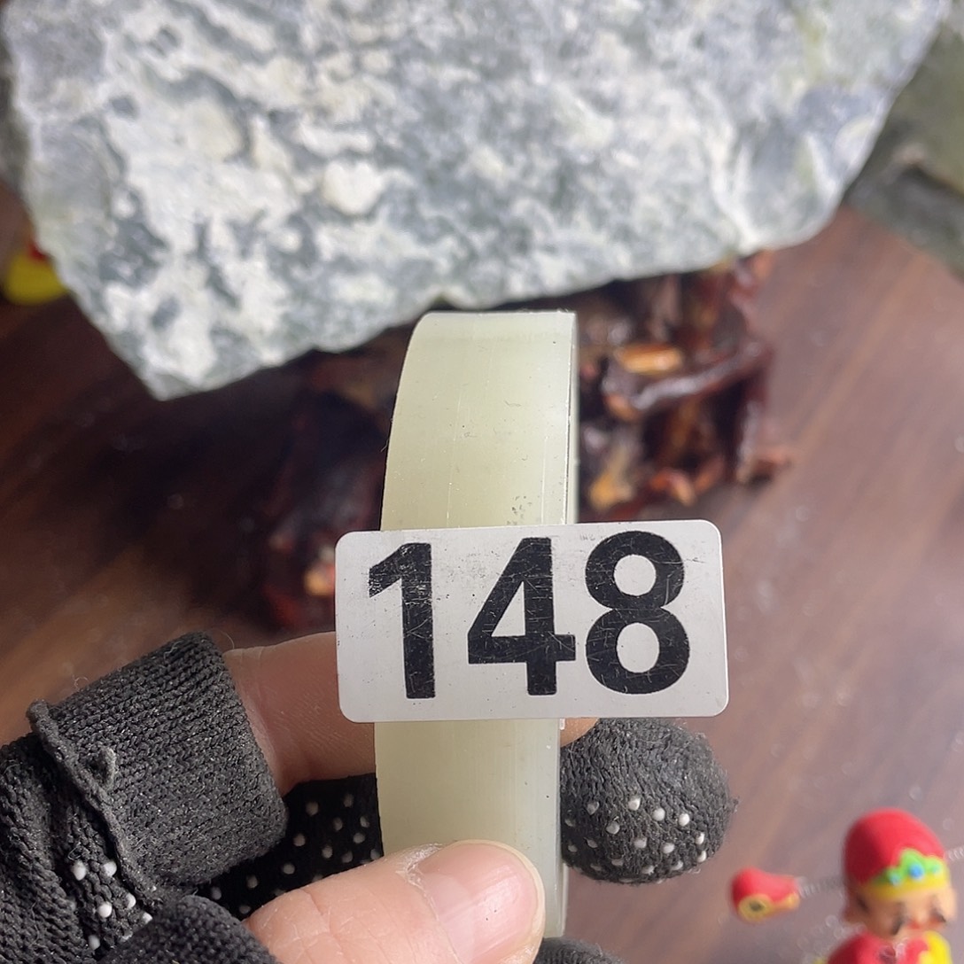 用***8蛇纹石玉未镶嵌原石