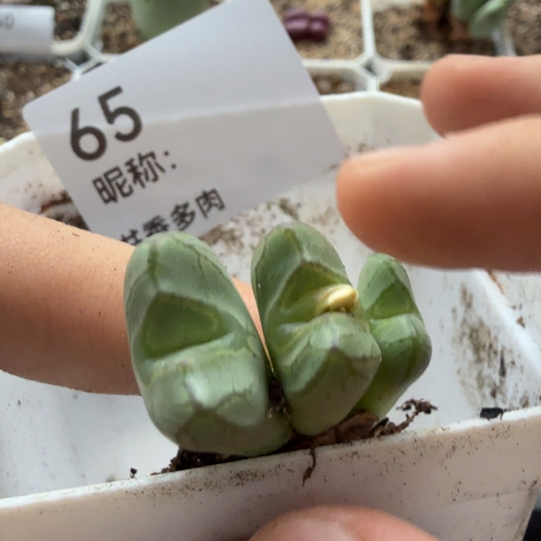 *****小。                