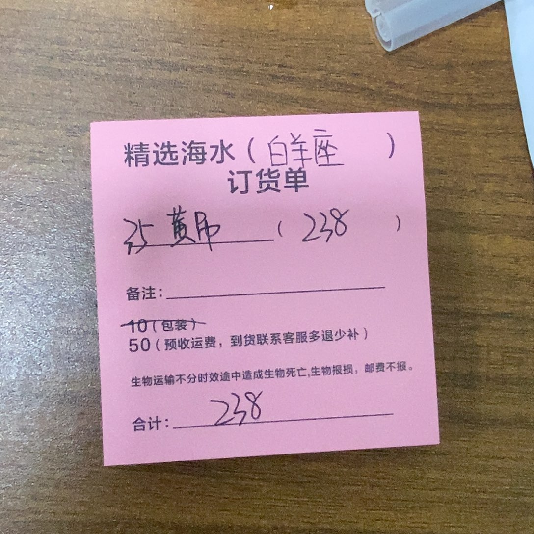 海水鱼35号黄吊海水鱼