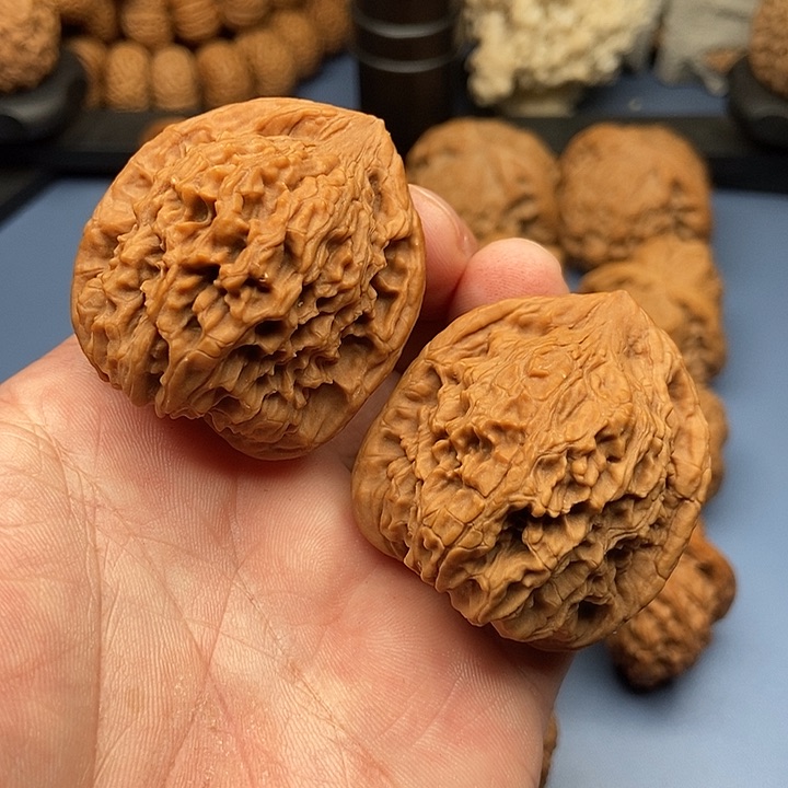 文玩核桃把件红狮子