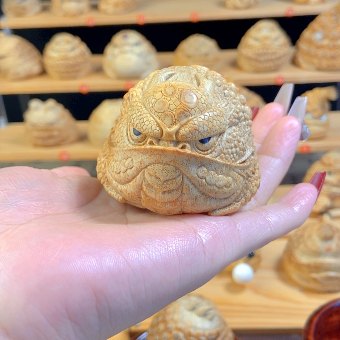 蔡君老师恶霸金蟾