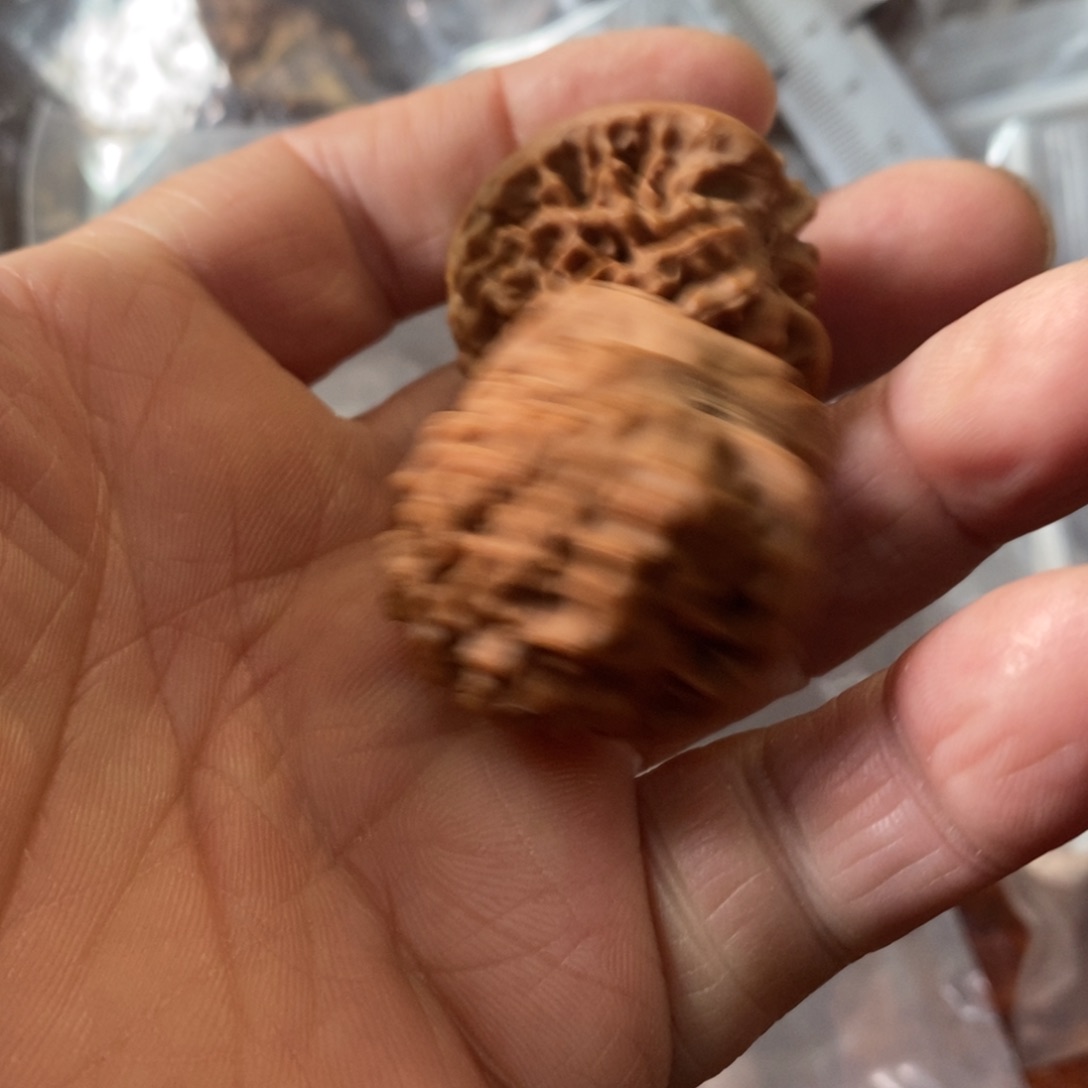 秦岭森林中发现过几颗