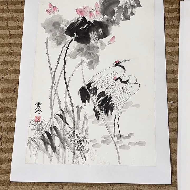 国画花鸟等多种鸟类和鸟类70.45