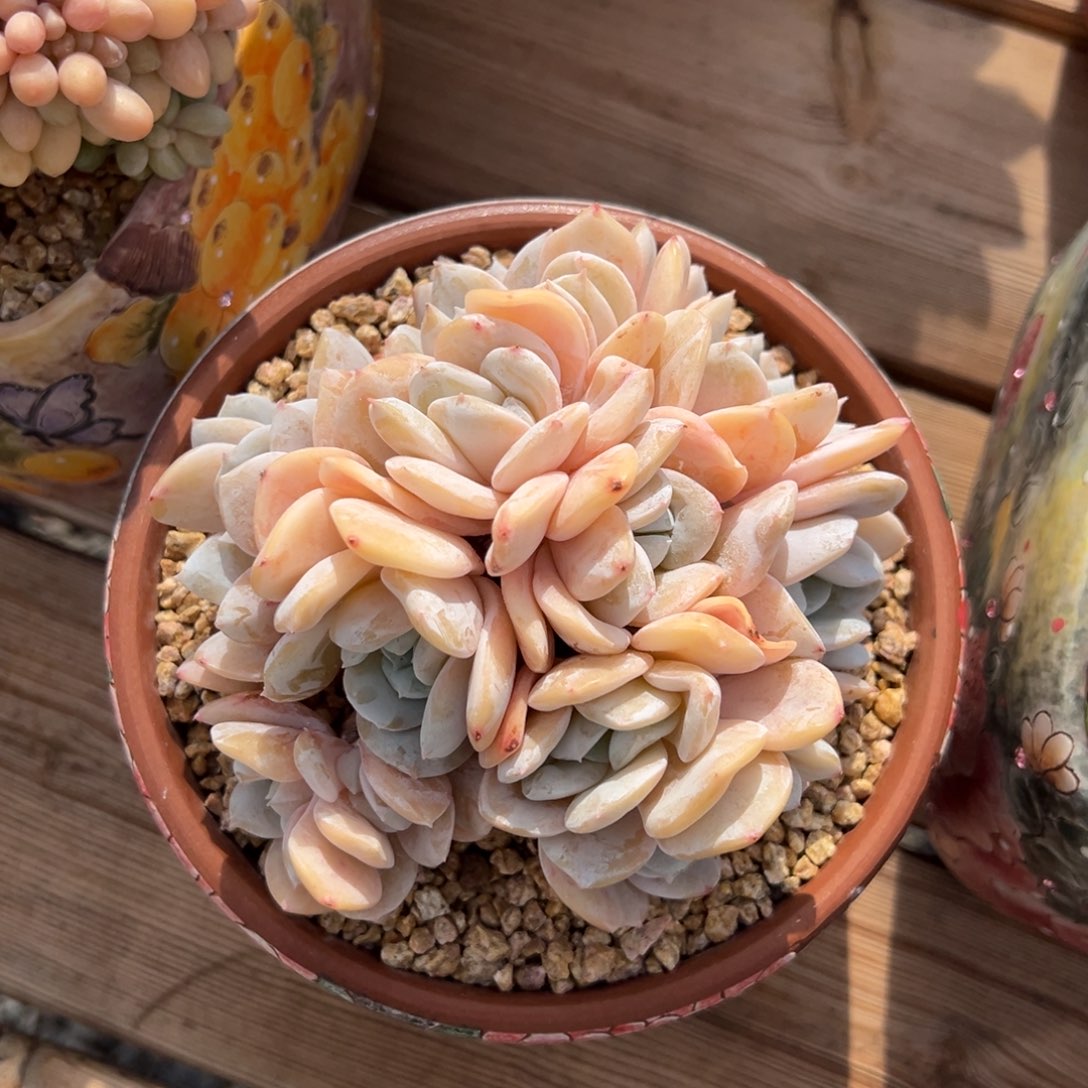 发货12111111111111111111