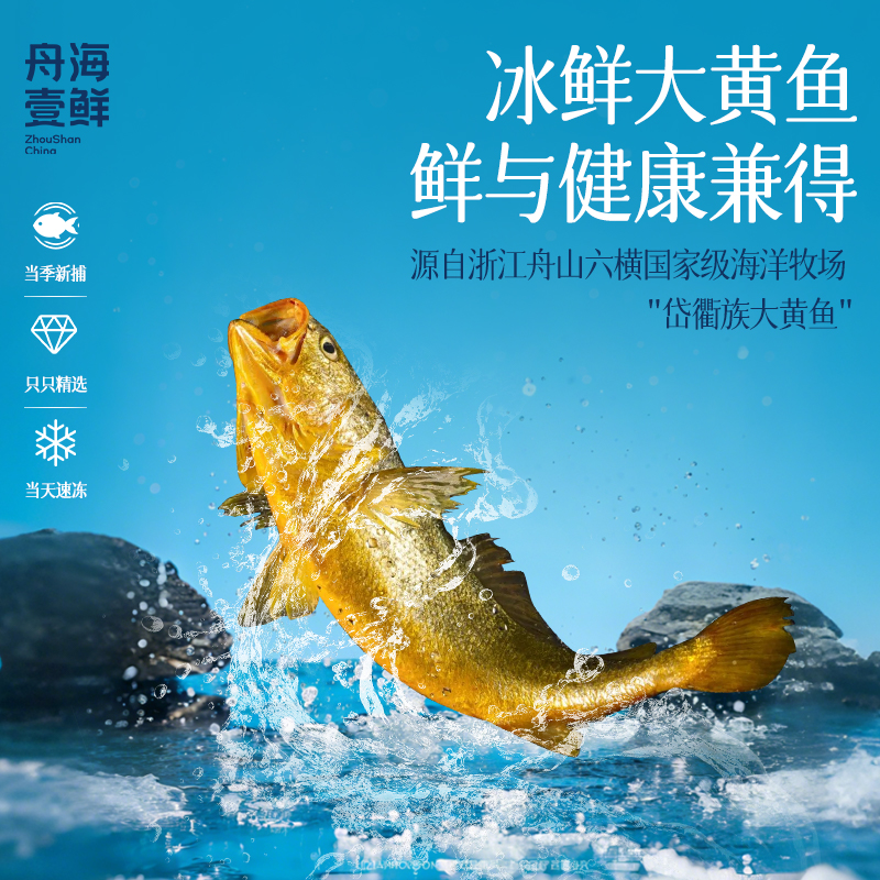 【冰鲜大黄鱼】舟海壹鲜黄金水道生态牧养大黄鱼礼盒装-2条/盒