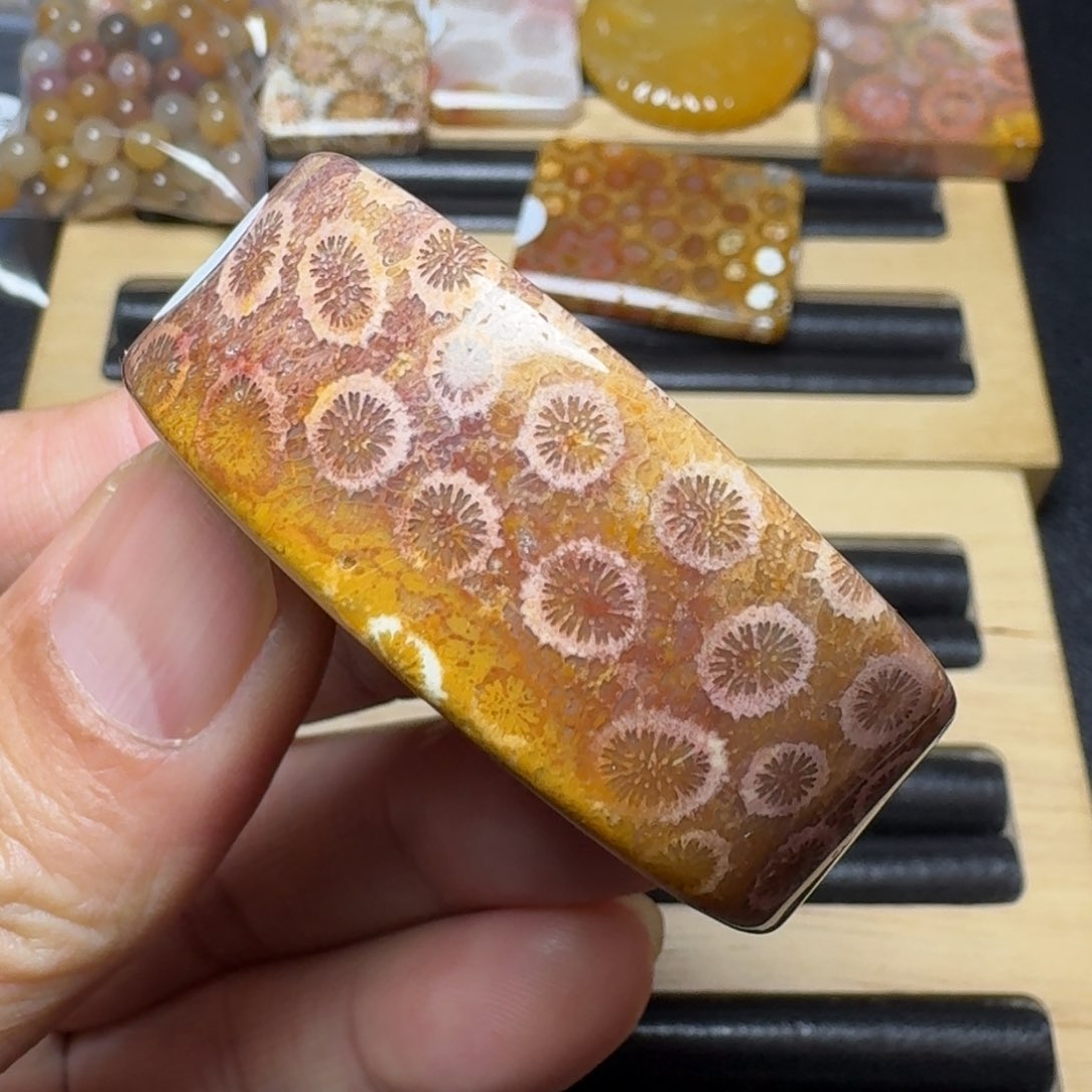 硅化玉纯天然色有机玉石手镯芯未镶嵌