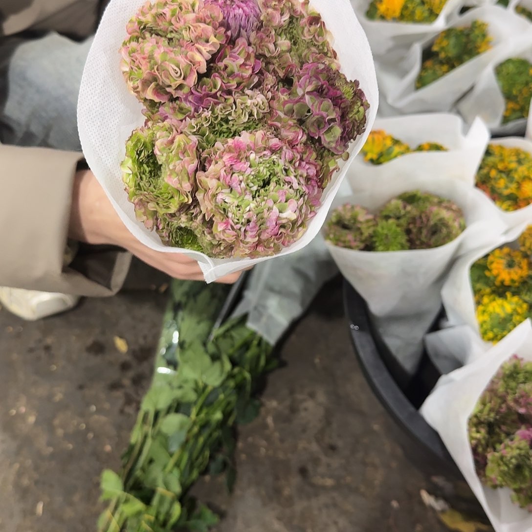 粉色锦鲤洋牡丹1扎