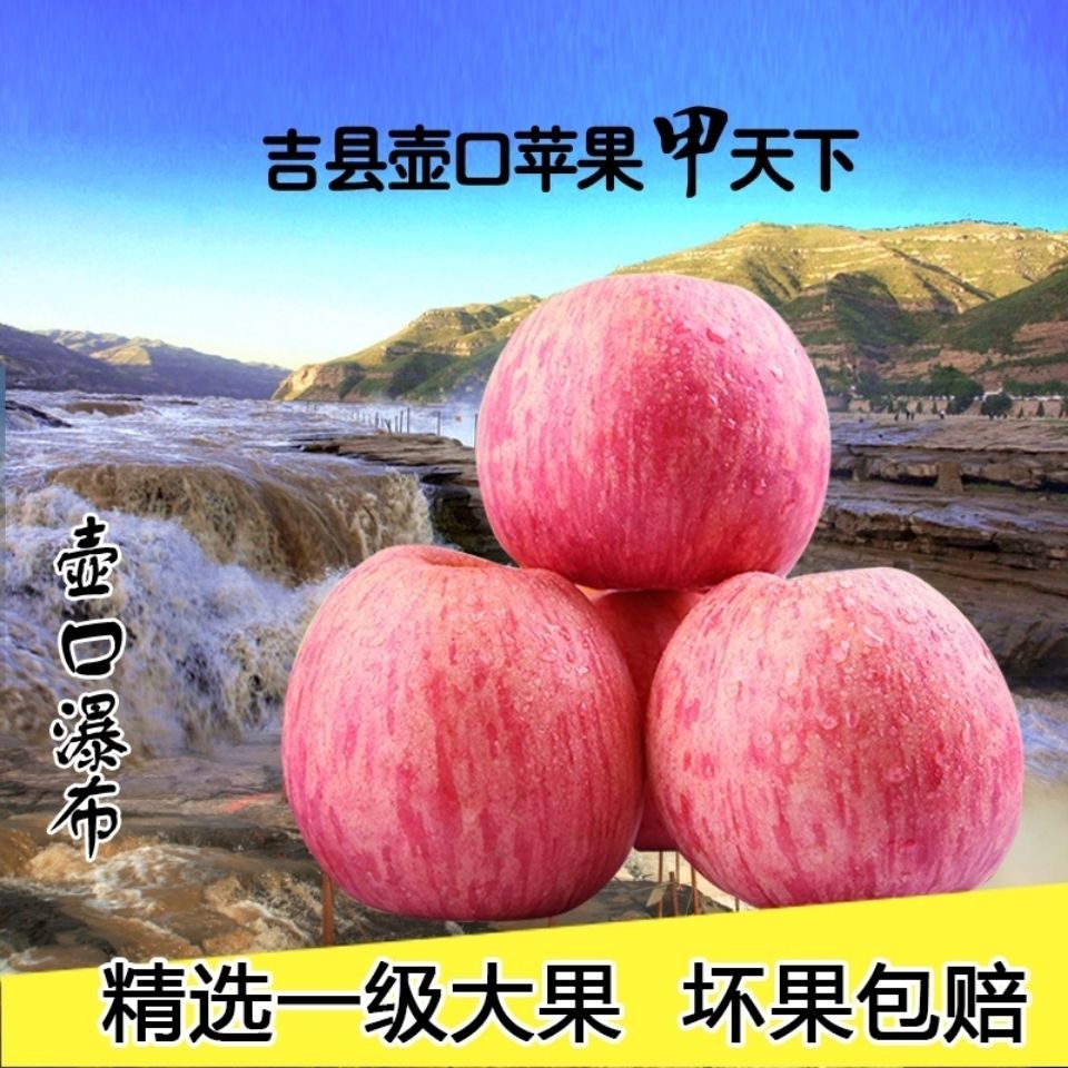 正宗山西吉县红富士苹果新鲜当季脆甜多汁冰糖心当即孕妇水果