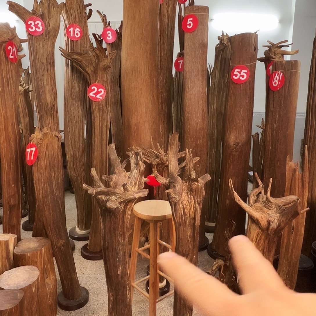 狼***王摆件沉香沉香原料6