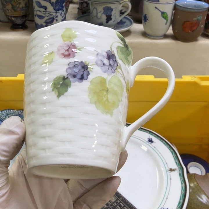 瓷片开播啦…开播啦！