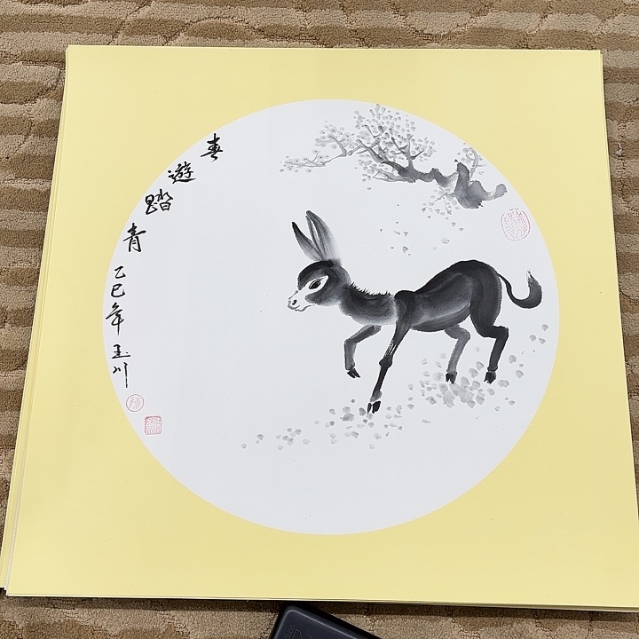 国画花鸟等多种鸟类和动物