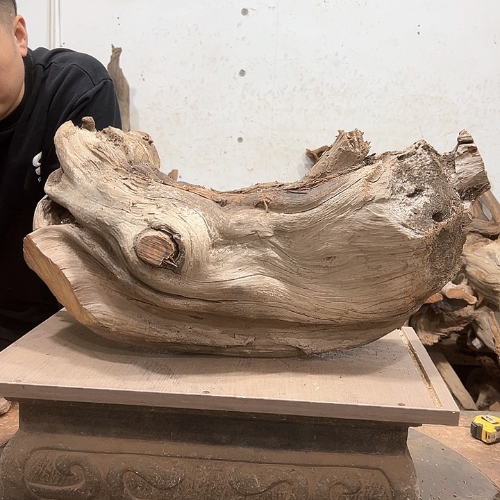 柏木喻*飞我们都是好孩子呀我也是