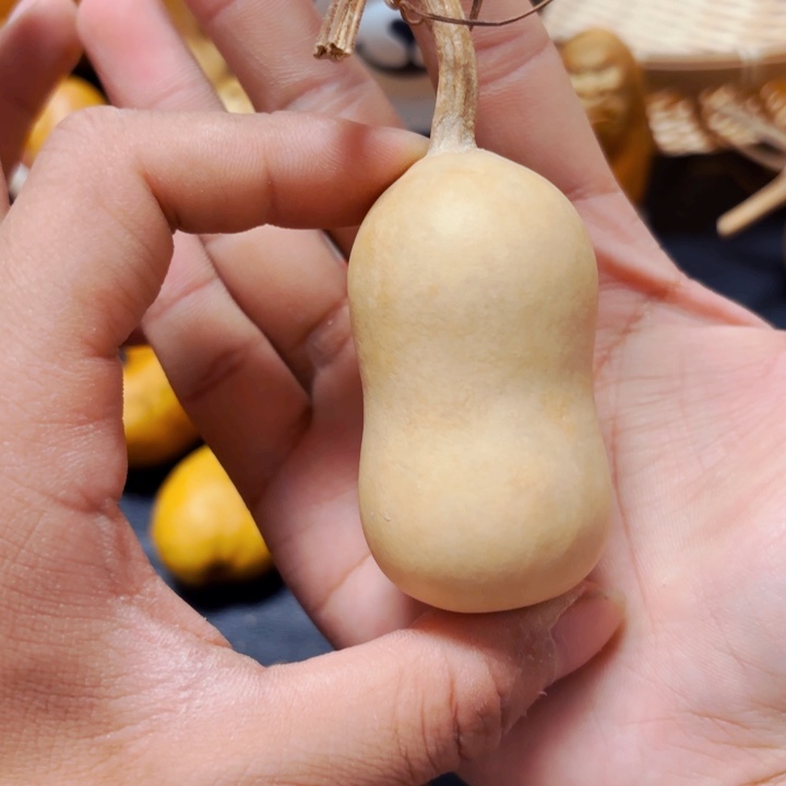 遇*猫88888888888888888888