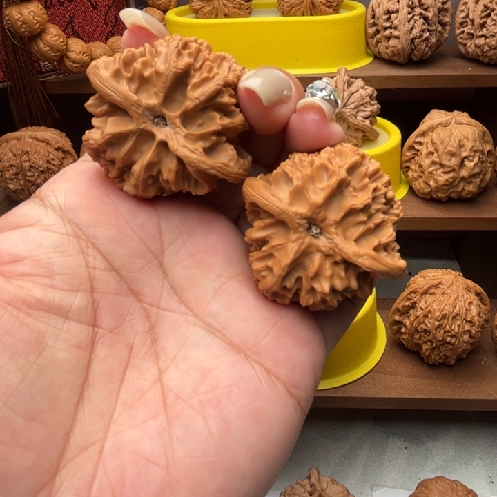 核桃老款苹果园44尺