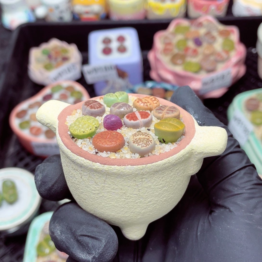 w9197--零下地区拍保温箱，-15度支持寄养