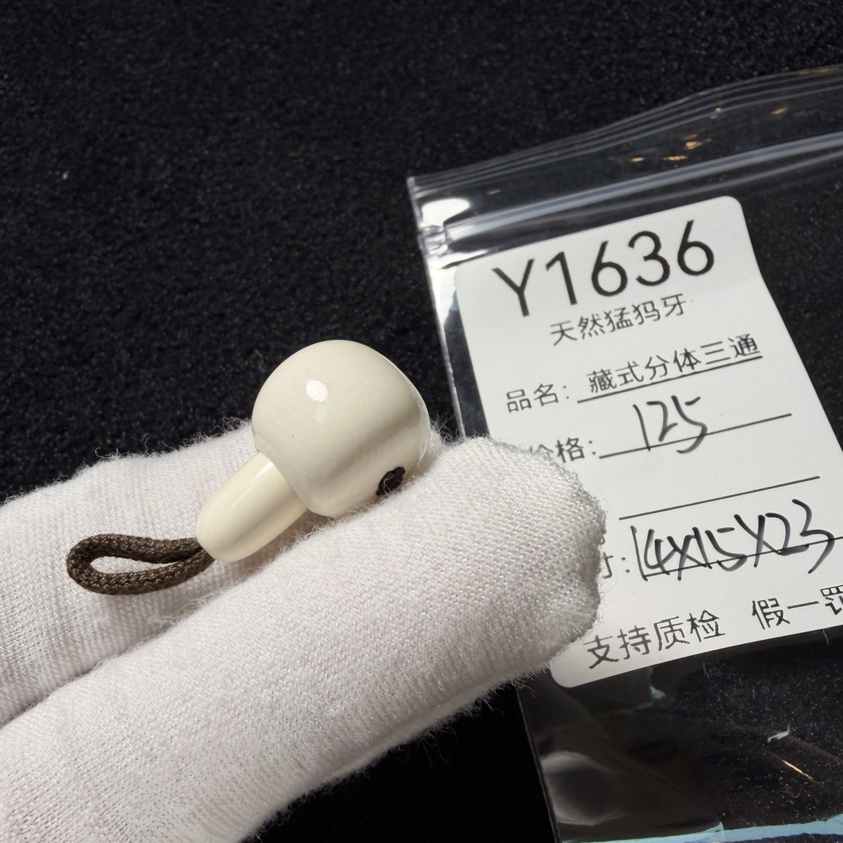 Y1636天然猛犸象牙胖墩藏式分体三通配饰果冻料14*15*23mm