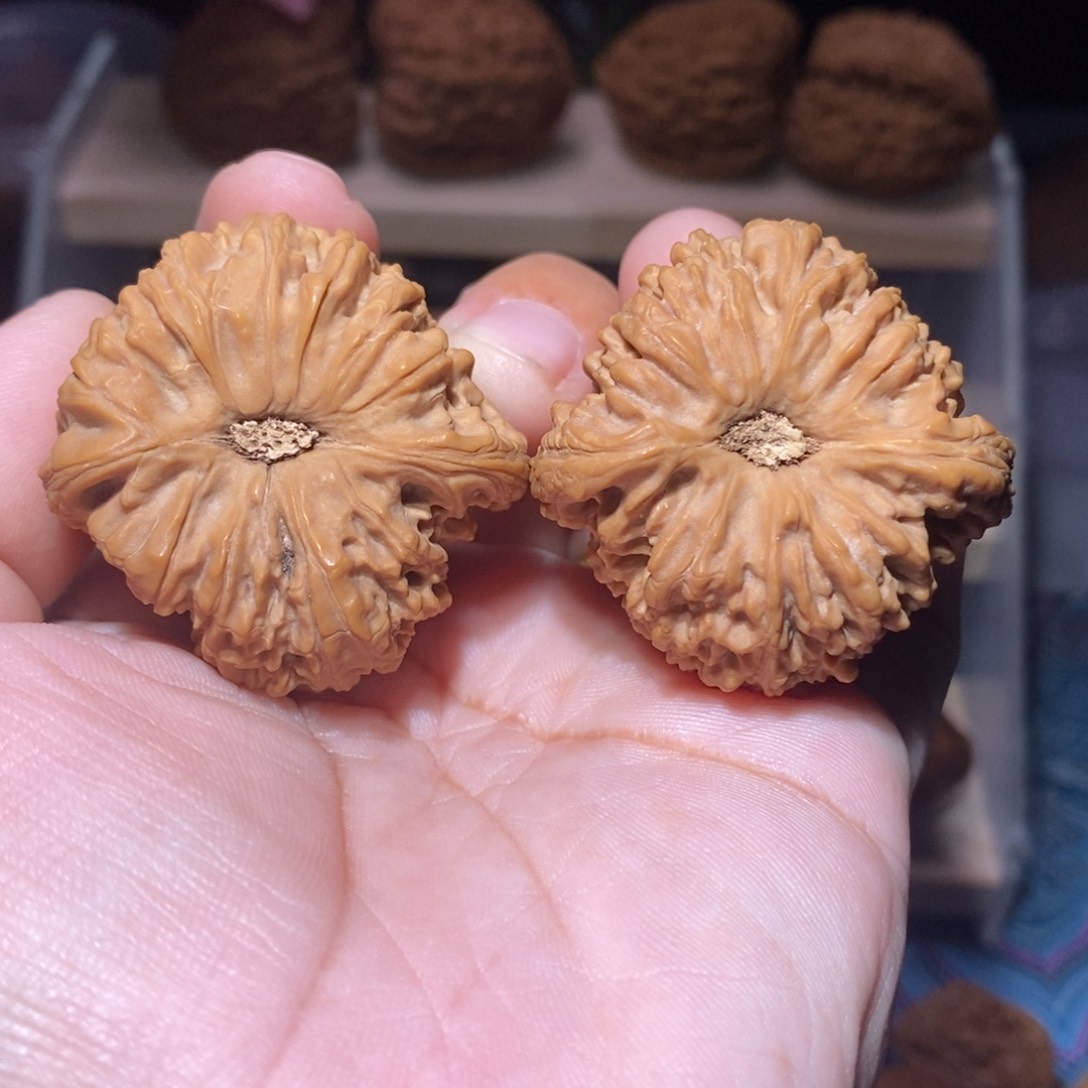 吊坠文玩核桃全品涿鹿老树全家福大克重