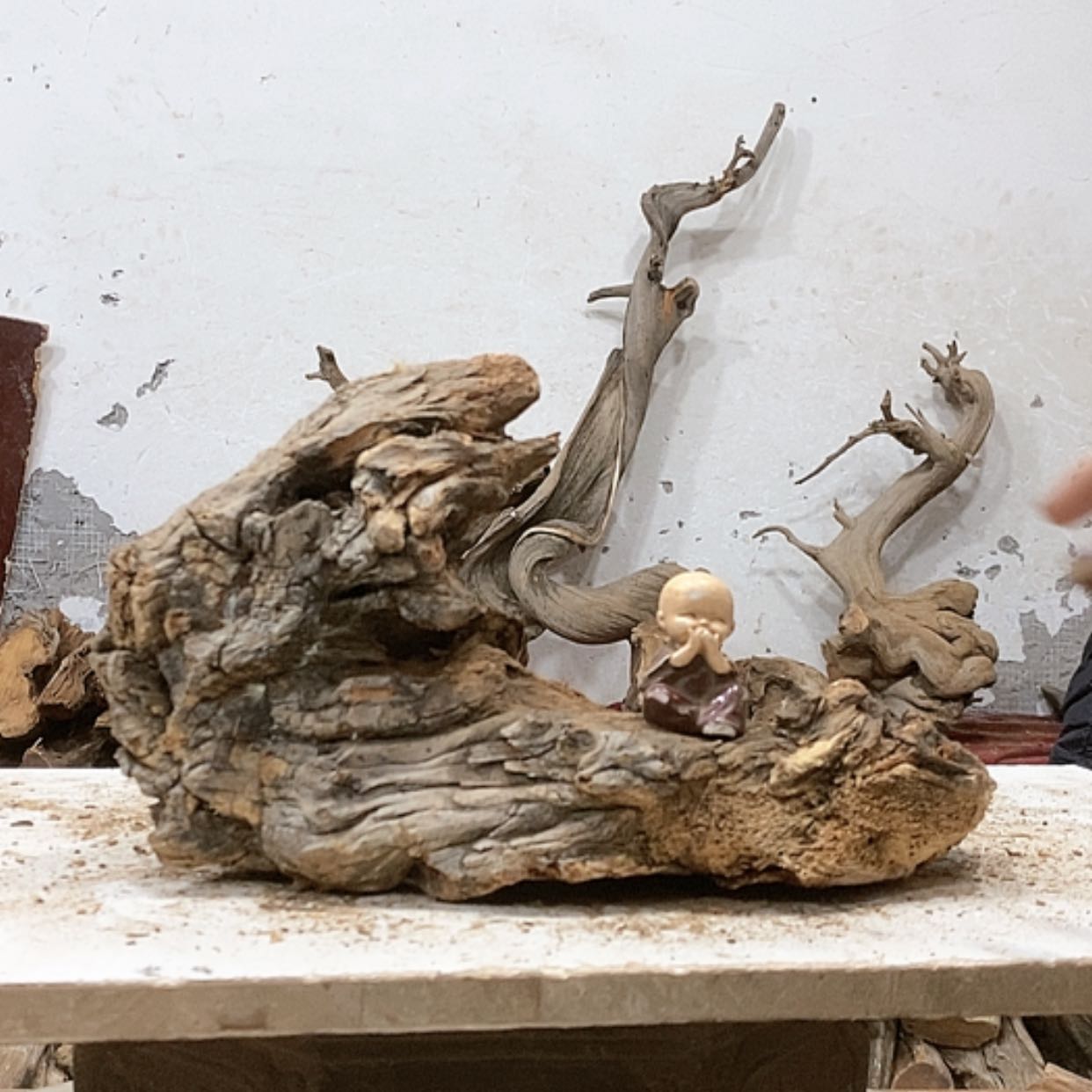 【闪购商品】柏木海*.我们都是好孩子