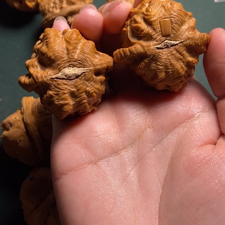 J***杨文玩核桃白狮子福利吞财40